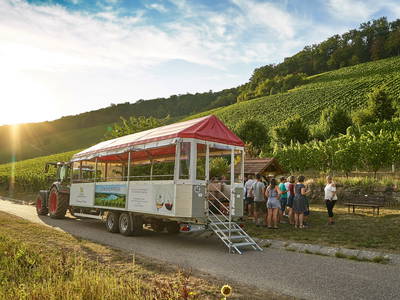 Bild 25 aus  Zum Wolffenturm