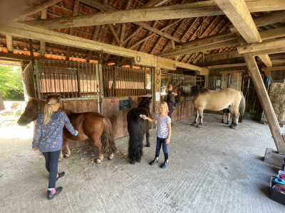 Bild 47 aus  Hof Schlünzen