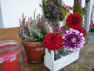 Bild 12 aus  Stalterhof