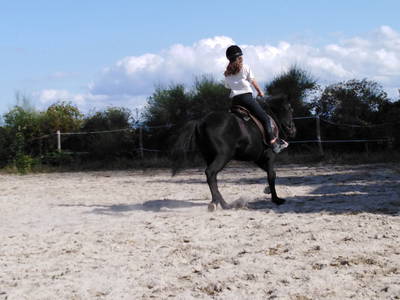 Bild 23 aus  Colle del Lupo