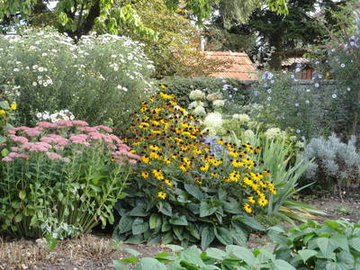 Staudenbeet im Bauerngarten