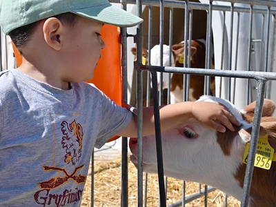 Bild 20 aus  Steigerwaldhof Krafft