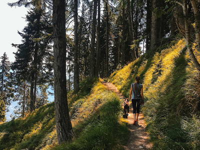 Bild 34 aus  Hotel im Tiefenbrunn