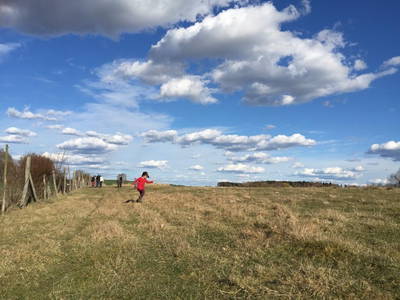 Gut Pälitzhof - weite Landschaft