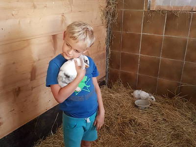 Bild 18 aus  Ferienbauernhof Storchenhäusle