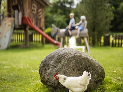 Bild 6 aus  Ferienhof Heute Mühle
