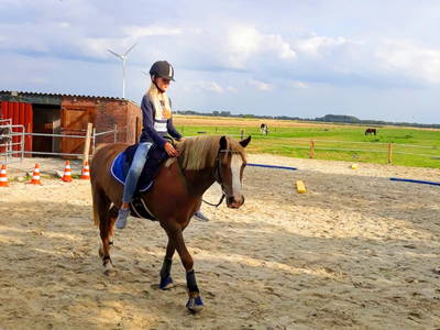 Bild 5 aus  Küstenhof Oldewurtel