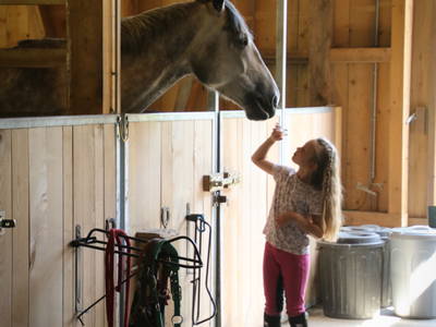 Bild 13 aus  Haus Bergquell mit Pferdestall