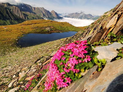 Bild 53 aus  Kircherhof