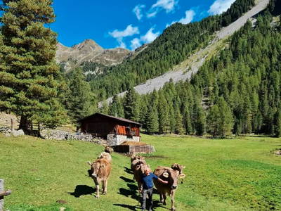 Bild 9 aus  Oberbacherhof