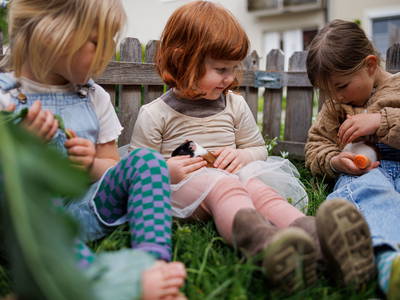 Bild 35 aus  Ferienhof Sonnengarten