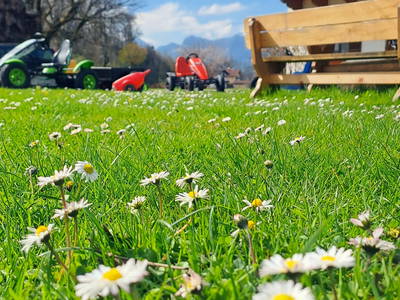 Bild 3 aus  Niederauer Hof