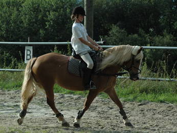 Bild 9 aus  Ferienhof Löw