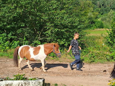 Auf dem Sattel der Pferde, liegt das Glück der Erde!