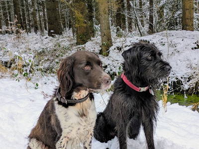 Winter 25 Leo und Rudi