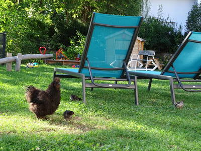 Bild 10 aus  BIO Ferienhof Schütterle