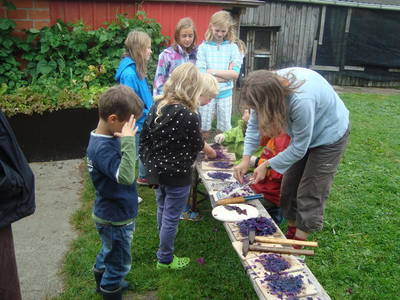 Bild 14 aus  Kantorhof