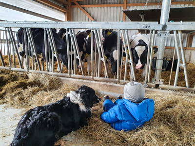 Bild 22 aus  Thelenshof