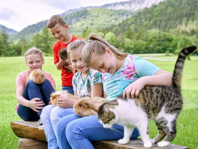 Bild 18 aus  Wiesenhäusl