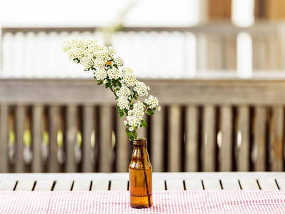 Bild 6 aus  Ferienhof Weltenburg