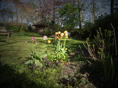 Bild 16 aus  Kleyhauers Ferienbauernhof