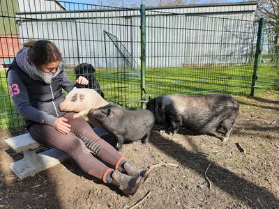 Bild 36 aus  Ferienhof Severin