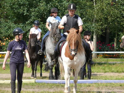 Bild 7 aus  Ferienhof  Steinbruch