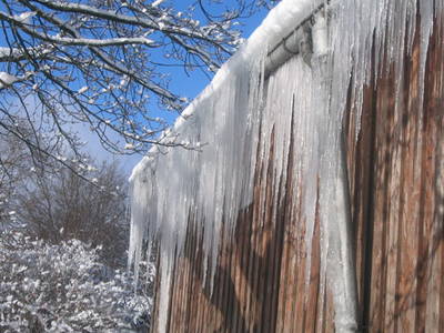 Bild 16 aus  Ferienhof Schmidt-Köss