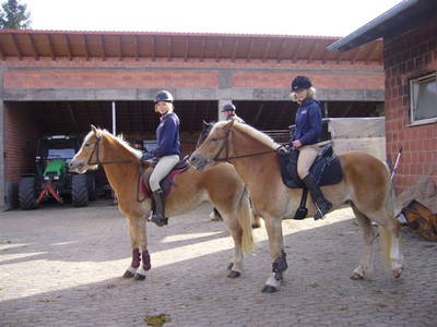 Bild 6 aus  Rhöner Haflingerhof