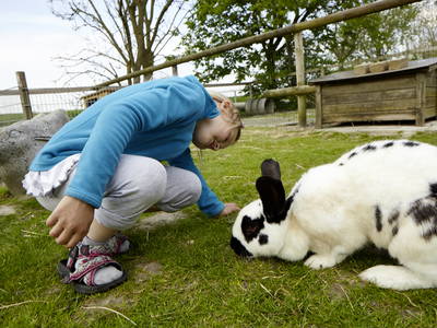 Bild 28 aus  LandSelection Traberhof