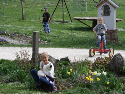 Bild 19 aus  Stefanutti Hof