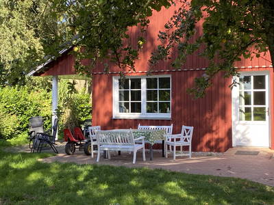 Bild 25 aus  Ferienhof Messer  Bauernhofurlaub  Ostseenähe  Ponys