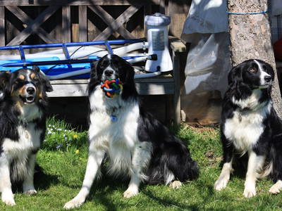 Bild 7 aus  Bauernhof Rupertiblick