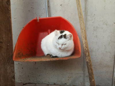 Bild 16 aus  Fenwick Farm