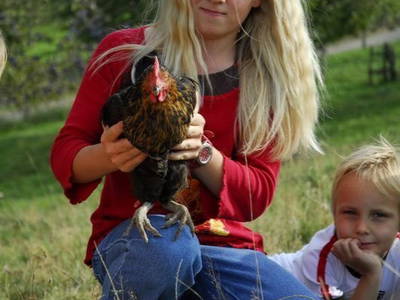 Hühner- und Streichelwiese