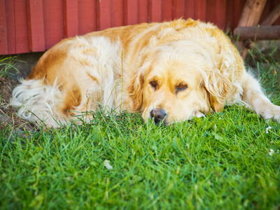 Bild 33 aus  Ferienhof Ebsen