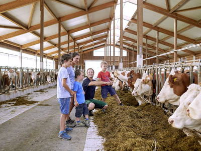 Bild 19 aus  Wastleicherhof am Chiemsee