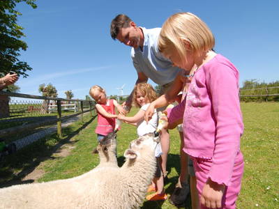 Bild 21 aus  Ferienhof Claußen