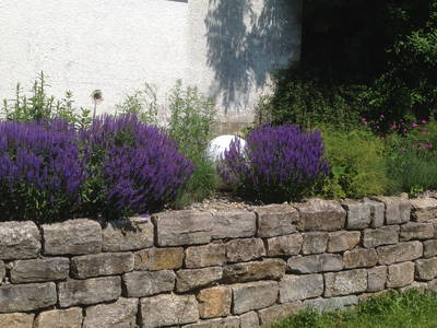 Bild 16 aus  Ferienhof Egger