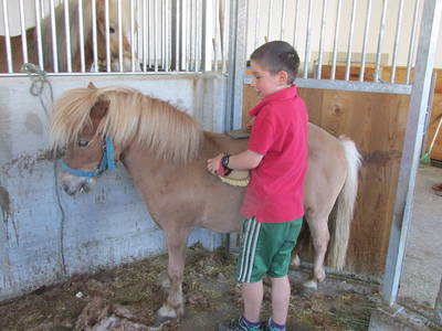 Bild 26 aus  Fillhof