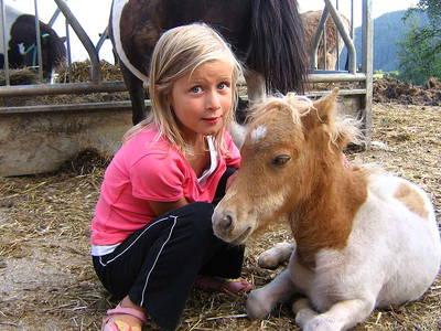 Bild 16 aus  Wietererhof