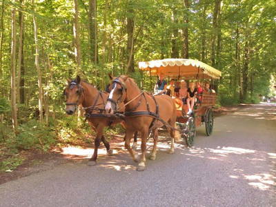 Bild 6 aus  Lamprechthof