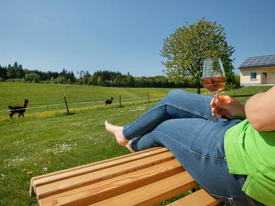 Bild 10 aus  Hubertushof Eifel - Ferienhof