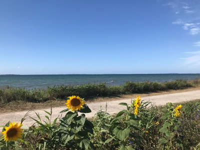 Bild 20 aus  Landhaus Scholz