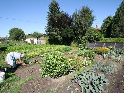 Bild 8 aus  Stefanutti Hof