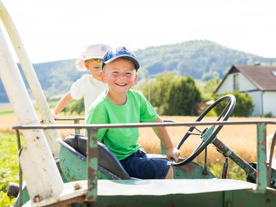 Bild 12 aus  An Webers Stoag