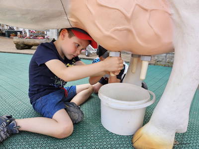 Bild 8 aus  Steigerwälder Zwergenhof ihr kleiner Kinder-Bauernhof für Familien- und Gruppenurlaube