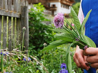 Bild 6 aus  Pristinger Hof