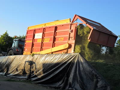 Bild 42 aus  Ferienhof Jansen