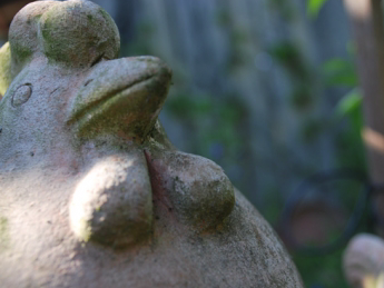 Bild 38 aus  Winzerhof Bregler